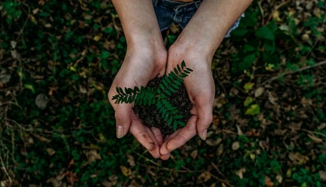 Educação ambiental e desenvolvimento integral do potencial humano